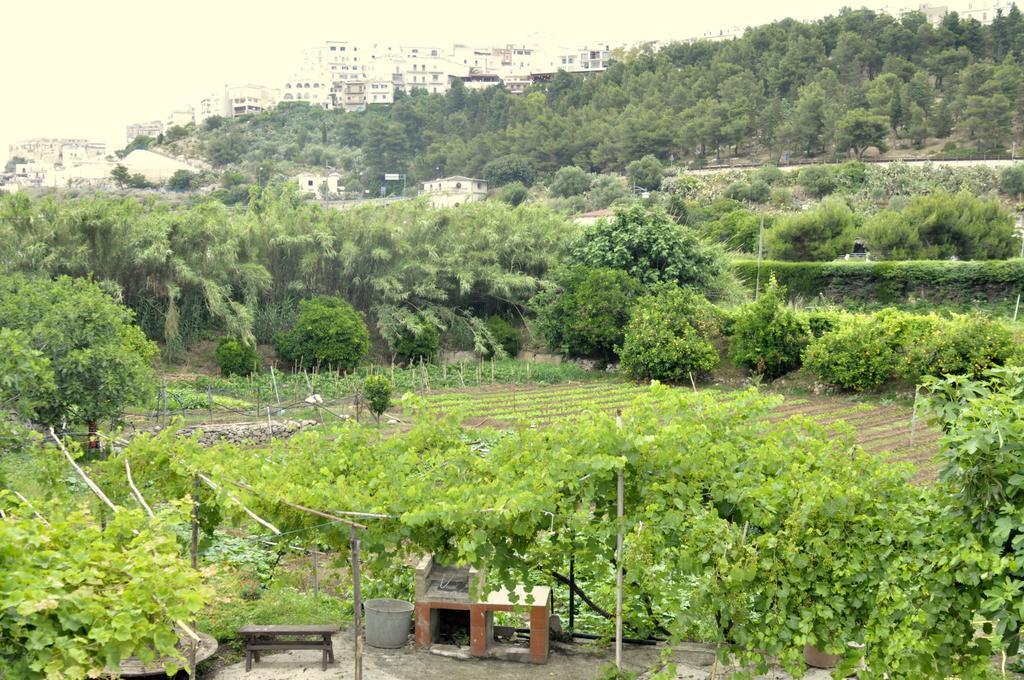 Casa Vacanze Villa Francesca Peschici Exterior foto